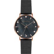 Emily Westwood Dark Seashell