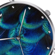 Emily Westwood Peacock Feather