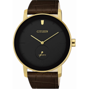 Citizen Quartz