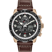 Citizen Promaster