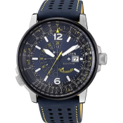 Citizen Promaster
