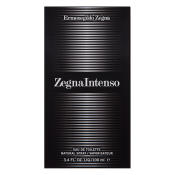 Ermenegildo Zegna Intenso toaletná voda pre mužov 100 ml