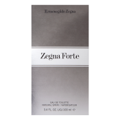 Ermenegildo Zegna Zegna Forte toaletná voda pre mužov 100 ml