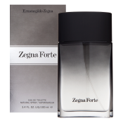 Ermenegildo Zegna Zegna Forte toaletná voda pre mužov 100 ml