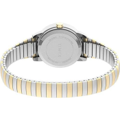 Timex Easy Reader Expansion