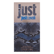 Roberto Cavalli Just Cavalli Him 2013 toaletná voda pre mužov 50 ml