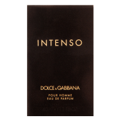 Dolce & Gabbana Pour Homme Intenso parfémovaná voda pre mužov 40 ml