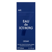 Iceberg Eau de Iceberg Cedar toaletná voda pre mužov 100 ml