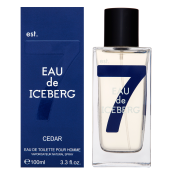 Iceberg Eau de Iceberg Cedar toaletná voda pre mužov 100 ml