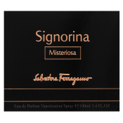 Salvatore Ferragamo Signorina Misteriosa parfémovaná voda pre ženy 100 ml
