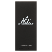 Burberry Mr. Burberry toaletná voda pre mužov 100 ml