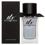 Burberry Mr. Burberry toaletná voda pre mužov 100 ml