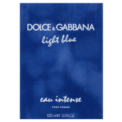 Dolce & Gabbana Light Blue Eau Intense Pour Homme parfémovaná voda pre mužov 100 ml
