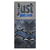 Roberto Cavalli Just Cavalli Him 2013 toaletná voda pre mužov 90 ml