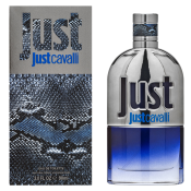 Roberto Cavalli Just Cavalli Him 2013 toaletná voda pre mužov 90 ml