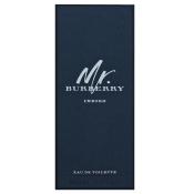 Burberry Mr. Burberry Indigo toaletná voda pre mužov 100 ml
