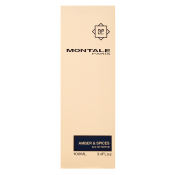 Montale Amber & Spices parfémovaná voda unisex 100 ml