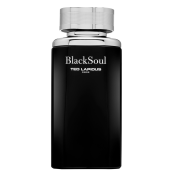 Ted Lapidus Black Soul toaletná voda pre mužov 100 ml