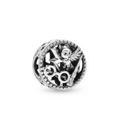 Korálik Pandora Moments