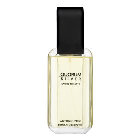 Antonio Puig Quorum Silver toaletní voda pro muže 50 ml