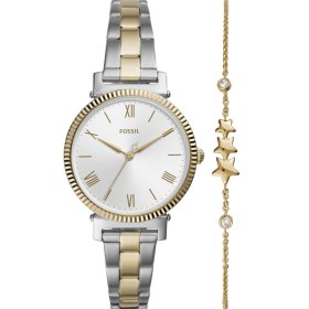 Fossil Daisy