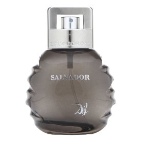 Salvador Dali Salvador toaletní voda pro muže 50 ml