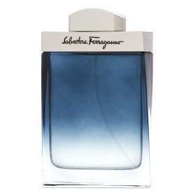 Salvatore Ferragamo Subtil Pour Homme Eau de Toilette bărbați 100 ml