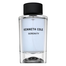 Kenneth Cole Serenity toaletní voda pro muže 100 ml