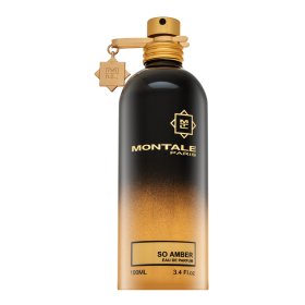 Montale So Amber parfumirana voda unisex 100 ml