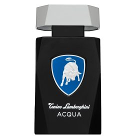 Tonino Lamborghini Acqua toaletna voda za muškarce 125 ml