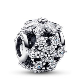 Pandora Charms Timeless