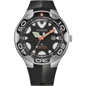 Citizen Promaster