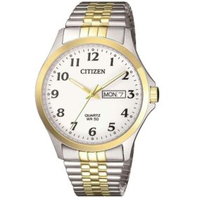 Citizen Quartz