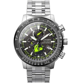 Citizen Promaster