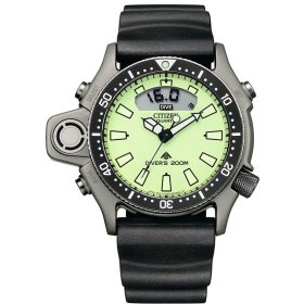 Citizen Second Hand
