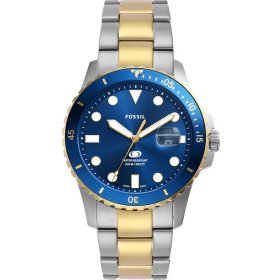 Fossil Dive