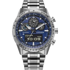 Citizen Promaster