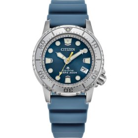 Citizen Promaster