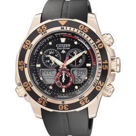 Citizen Promaster