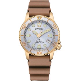 Citizen Promaster