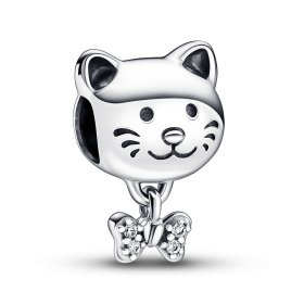 Charm Pandora Moments