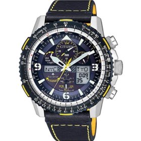 Citizen Promaster