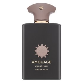 Amouage Library Collection Opus XIII Silver Oud Eau de Parfum uniszex 100 ml