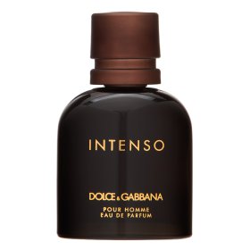 Dolce & Gabbana Pour Homme Intenso parfémovaná voda pre mužov 40 ml