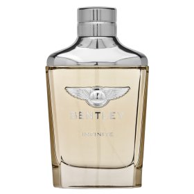Bentley Infinite тоалетна вода за мъже 100 ml