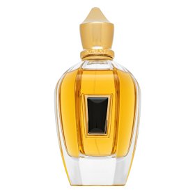 Xerjoff 17/17 Homme čisti parfum za moške 100 ml