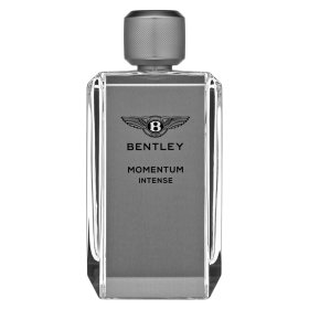 Bentley Momentum Intense parfumirana voda za moške 100 ml