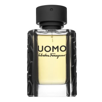 Salvatore Ferragamo Uomo Eau de Toilette da uomo 50 ml