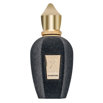 Xerjoff Overture parfumirana voda unisex 50 ml