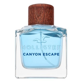 Hollister Canyon Escape toaletná voda pre mužov 100 ml